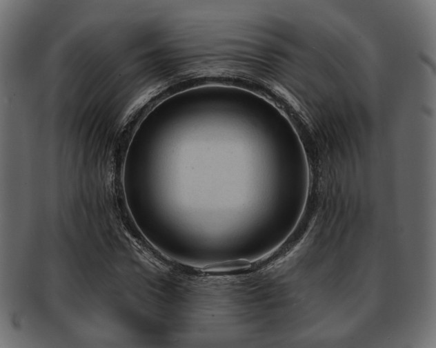 X0000093100922200709261227