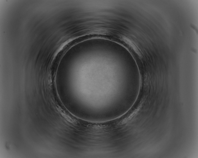 X0000093100923200709261227