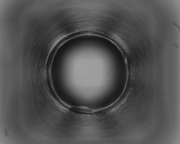 X0000093100924200709261227