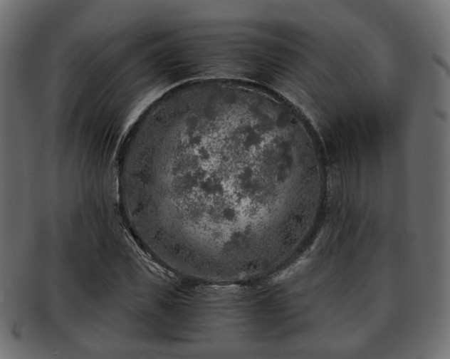 X0000093100925200709261227
