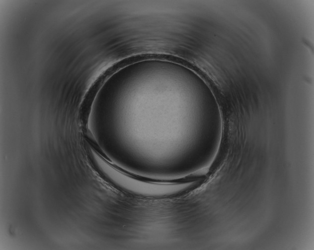 X0000093100926200709261227