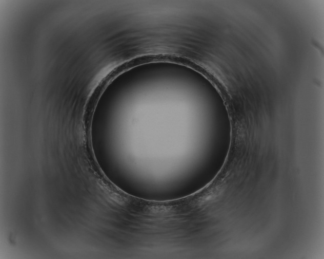X0000093100927200709261227