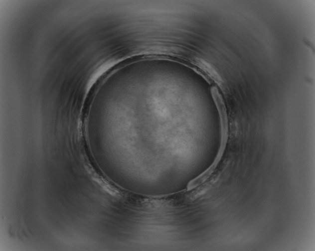 X0000093100928200709261227