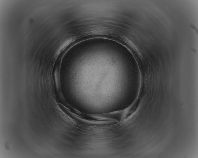 X0000093100930200709261227