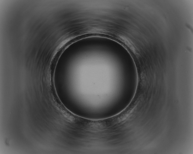 X0000093100931200709261227