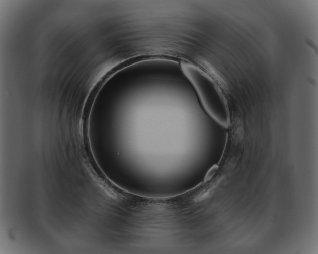 X0000093100932200709261227