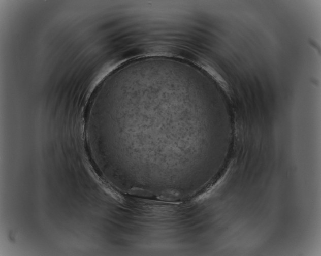 X0000093100933200709261227
