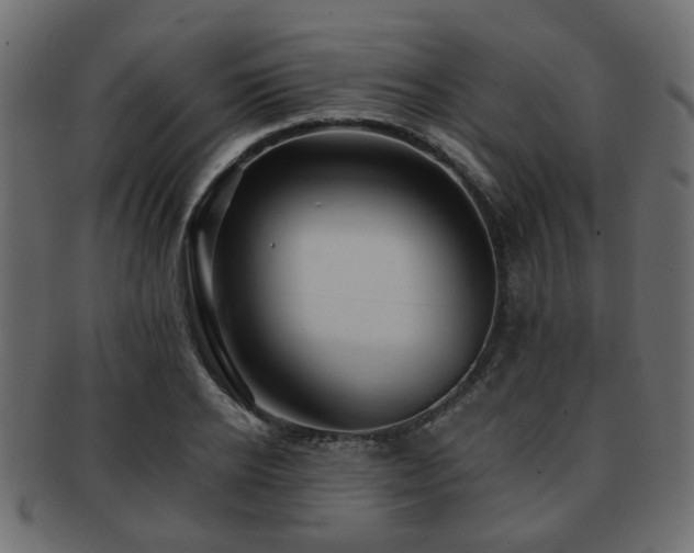 X0000093100934200709261227