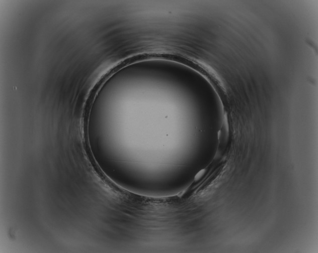 X0000093100935200709261227