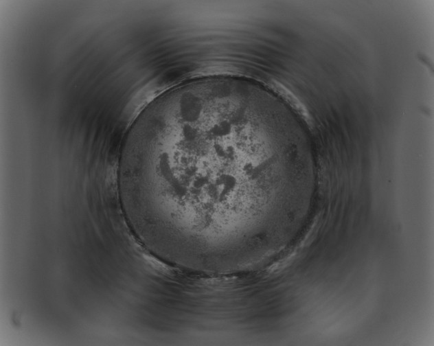 X0000093100937200709261227