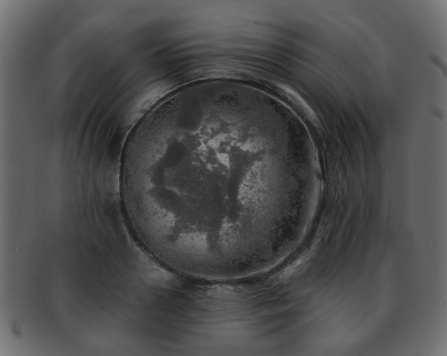 X0000093100938200709261227