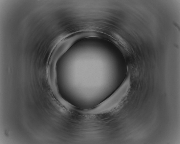 X0000093100940200709261227