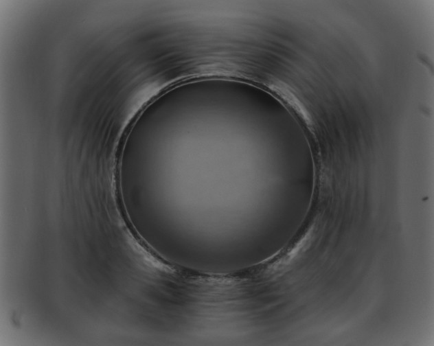 X0000093100941200709261227