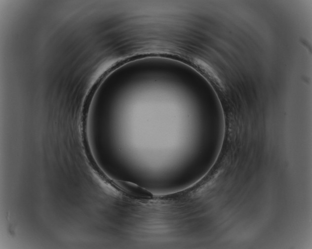X0000093100942200709261227