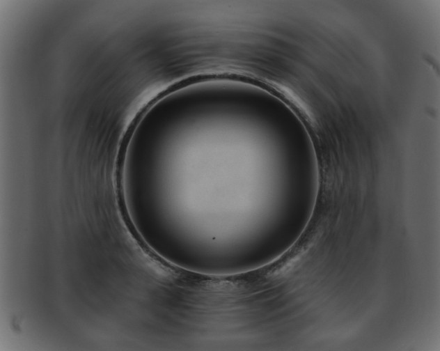 X0000093100943200709261227