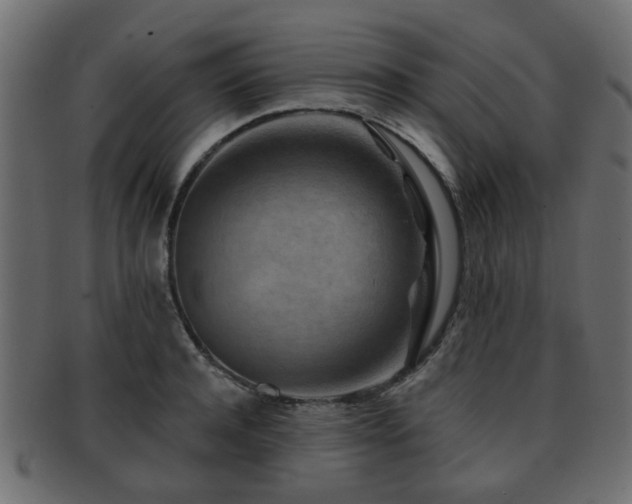 X0000093100944200709261227