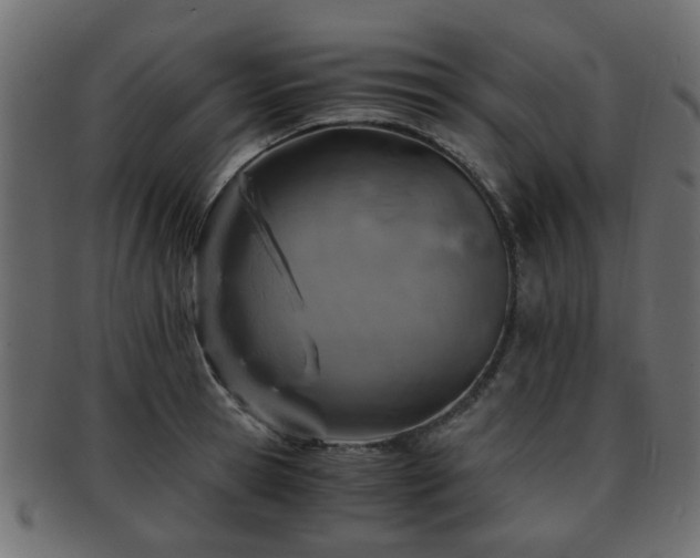X0000093100945200709261227
