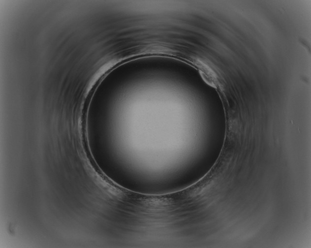 X0000093100947200709261227
