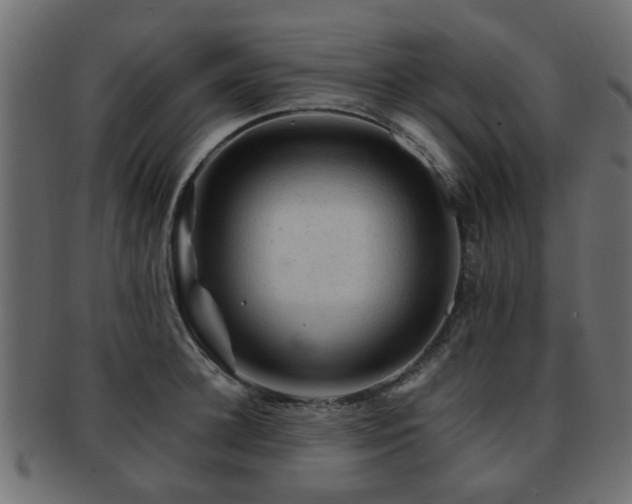 X0000093100948200709261227