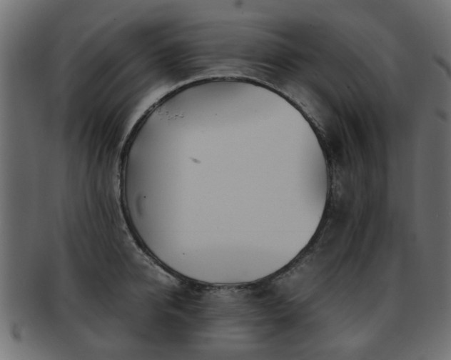 X0000093100950200709261227