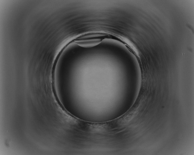 X0000093100951200709261227