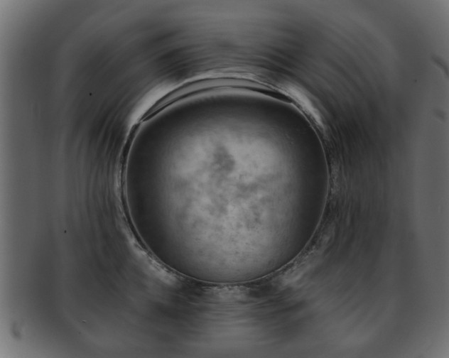 X0000093100952200709261227