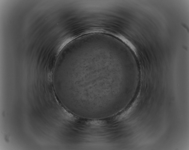 X0000093100953200709261227