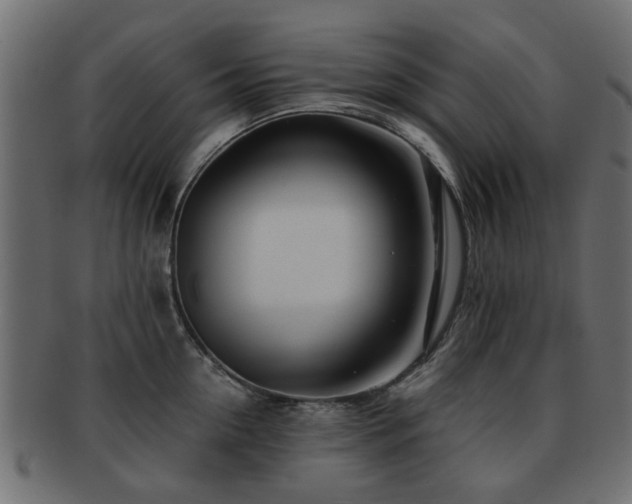 X0000093100954200709261228