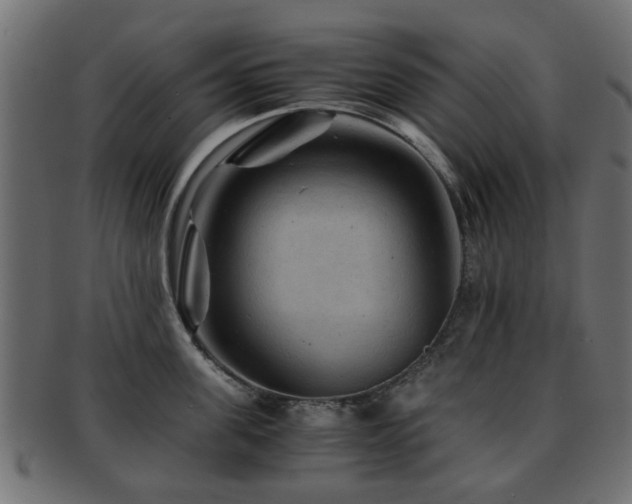 X0000093100955200709261228