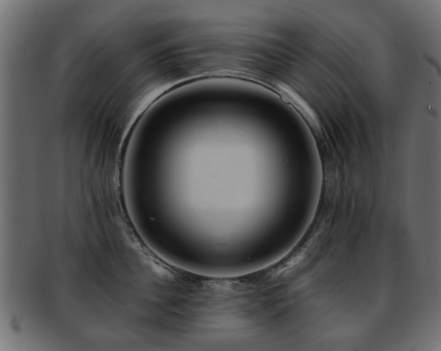 X0000093100956200709261228