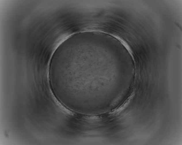 X0000093100957200709261228