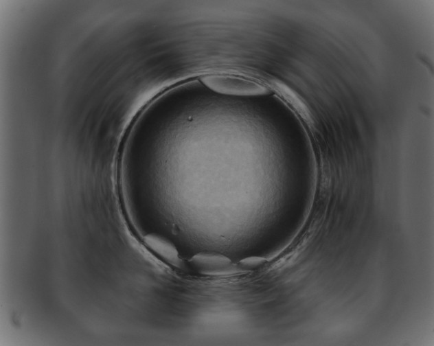 X0000093100958200709261228