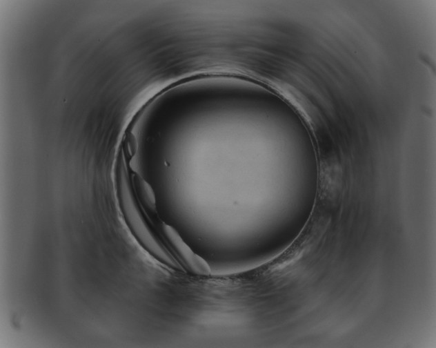 X0000093100959200709261228