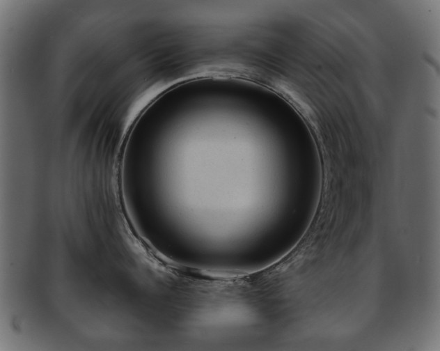X0000093100960200709261228