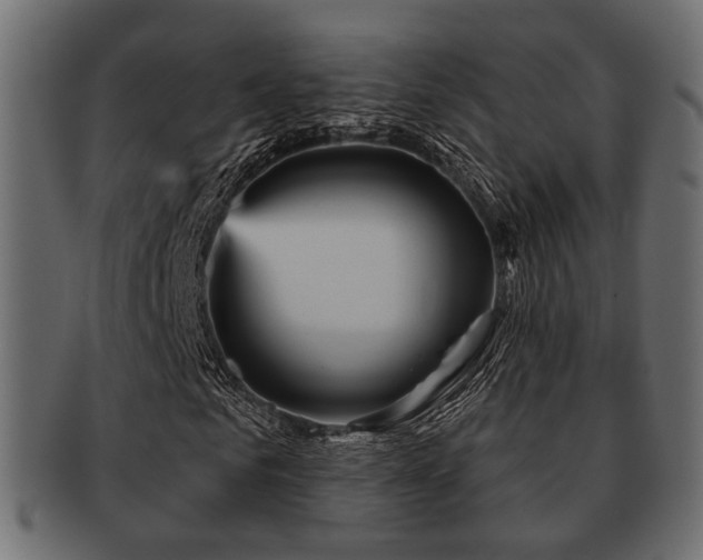 X0000093100961200709261227