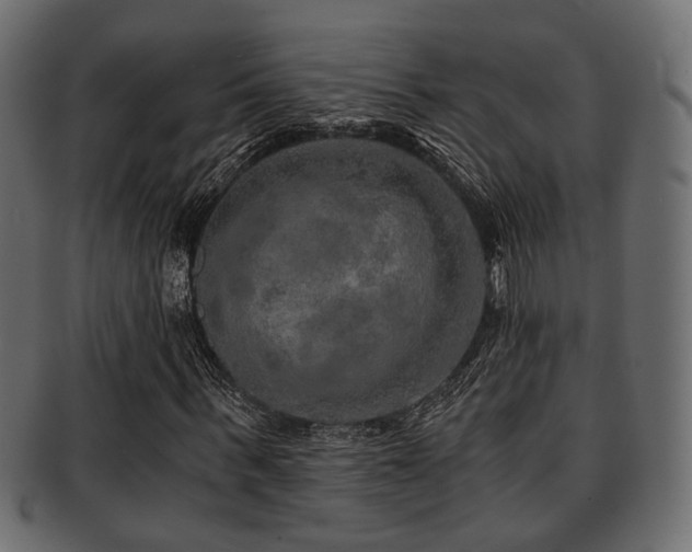 X0000093100963200709261227