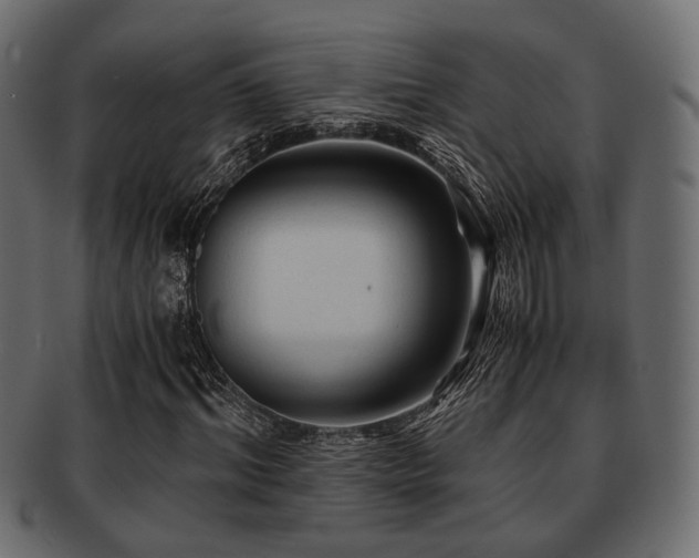 X0000093100964200709261227