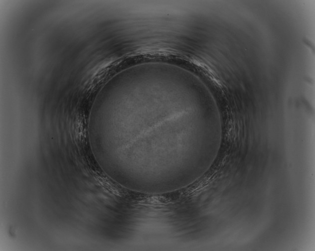 X0000093100966200709261227