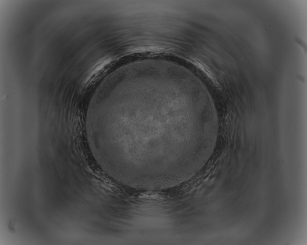 X0000093100967200709261227