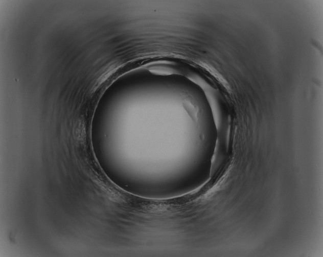 X0000093100969200709261227