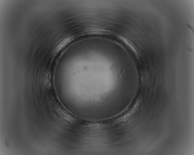 X0000093100970200709261227