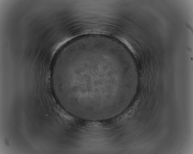 X0000093100971200709261227