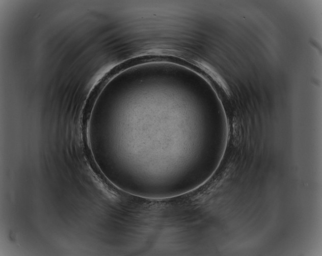 X0000093100972200709261227