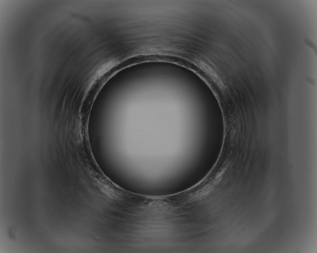 X0000093100974200709261227
