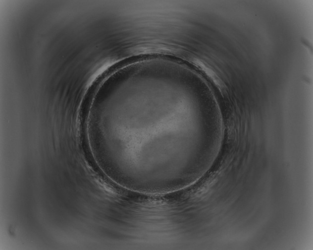 X0000093100975200709261227