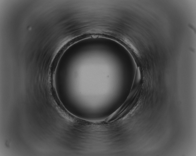 X0000093100976200709261227