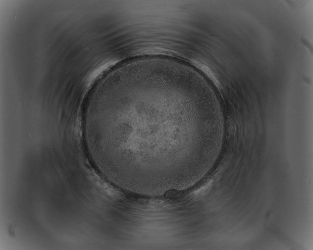 X0000093100979200709261227