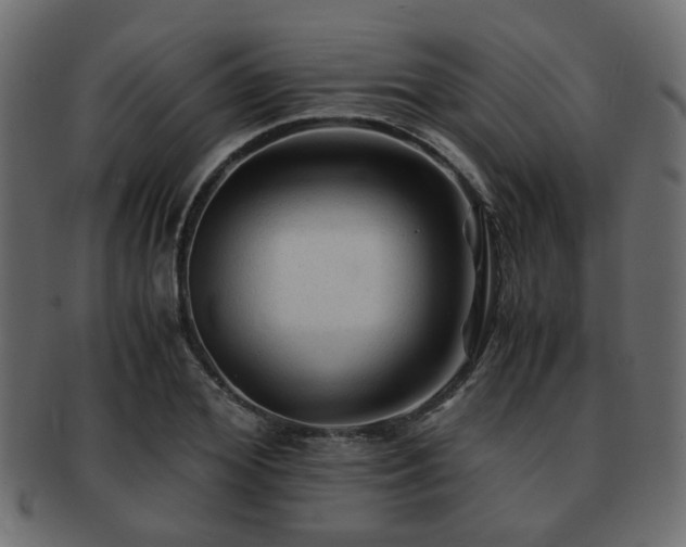 X0000093100980200709261227