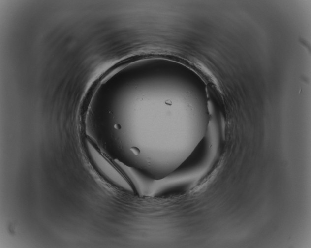 X0000093100981200709261227
