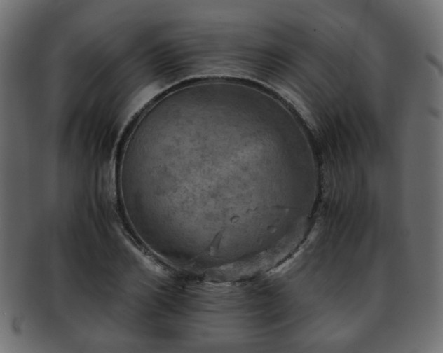 X0000093100982200709261227